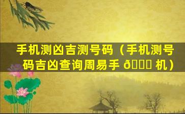 手机测凶吉测号码（手机测号码吉凶查询周易手 🍀 机）